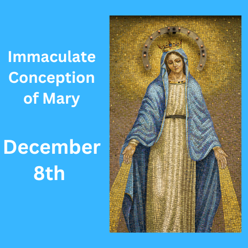 Immaculate Conception and Final Nights of Night Prayer